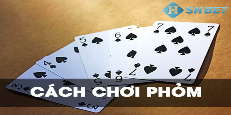 hướng dẫn chơi bài phỏm Thuật ngữ phổ biến trong hướng dẫn chơi bài phỏm